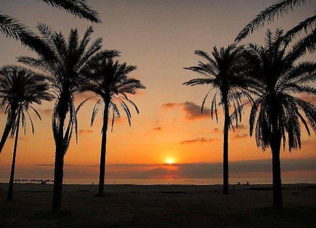 Patacona Mare Nostrum Apartment II Valencia Eksteriør bilde